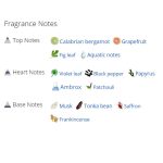 عطر ادکلن مردانه ورساچه پورهوم دیلن بلو