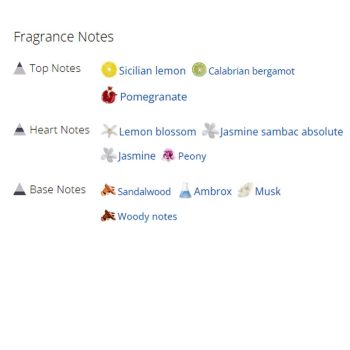 عطر ادکلن زنانه ورساچه اروس زنانه