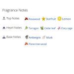 عطر ادکلن مردانه ورساچه او فرش