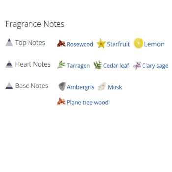 عطر ادکلن مردانه ورساچه او فرش