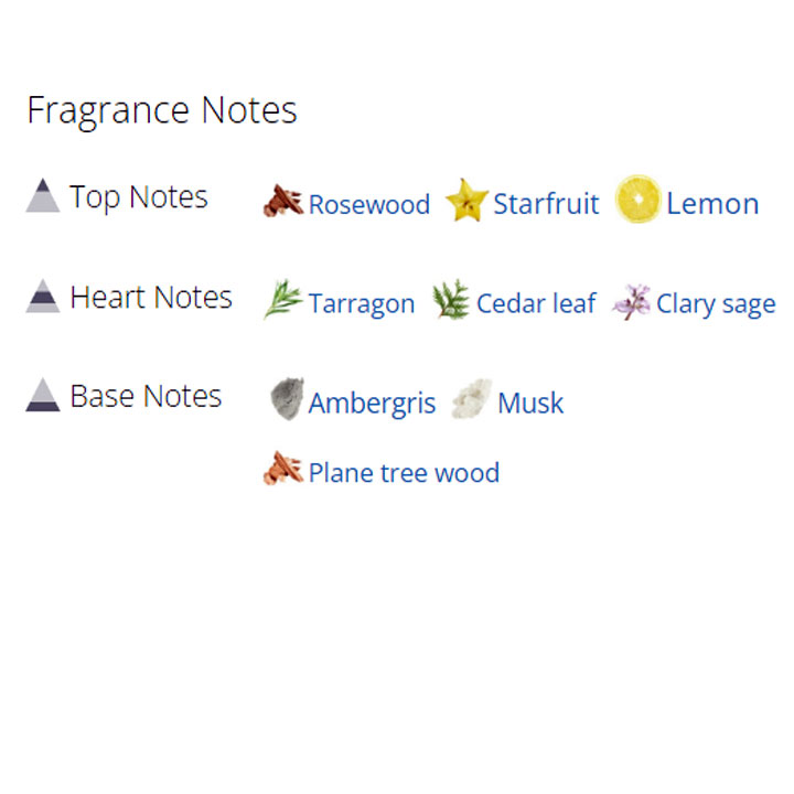 عطر ادکلن مردانه ورساچه او فرش عطر ادکلن مردانه ورساچه او فرش