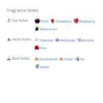 عطر ادکلن زنانه ورساچه ورسوس دونا