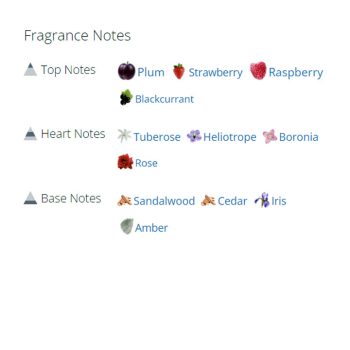 عطر ادکلن زنانه ورساچه ورسوس دونا