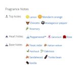 عطر ادکلن مردانه ورساچه اروس فلیم مردانه