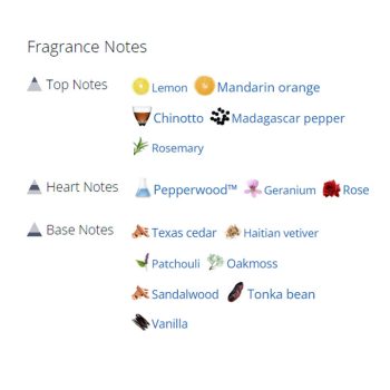 عطر ادکلن مردانه ورساچه اروس فلیم مردانه