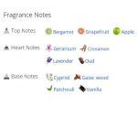 عطر ادکلن مردانه لیتون اکسکلوسیو