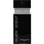 عطر ادکلن مردانه سیلور سنت بوگارت