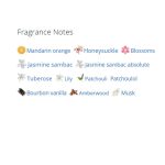 عطر ادکلن زنانه استی لودر مدرن موس