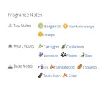 251_img-1747-dolce-gabbana-dolce-gabbana-pour-homme-1994-eau-de-toilette_720