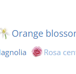 78239_img-5255-louis-vuitton-contre-moi_720