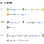 2316_img-6753-creed-bois-du-portugal_720