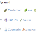 146931_img-7844-givenchy-gentleman-givenchy-eau-de-toilette-intense_720