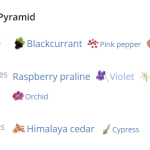 90247_o03zdm_fantasia_720