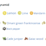 192135_img-5268-amouage-search_480