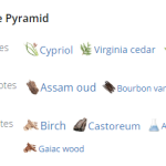 153040_img-9734-amouage-opus-xiii-silver-oud_720