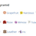 15367_img-7324-hermes-kelly-caleche-eau-de-parfum_720