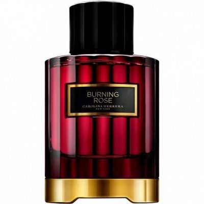 هفت عطر جذاب با رایحه رز