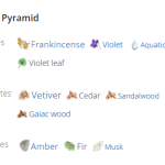 0014885_dsquared2-he-wood-intense-edt-100ml-m_600