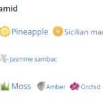 136618_img-8338-dolce-amp-gabbana-fruit-collection-pineapple_480