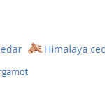 151413_img-4513-burberry-hero_720