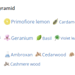 136654_img-3772-yves-saint-laurent-l-homme-le-parfum_720