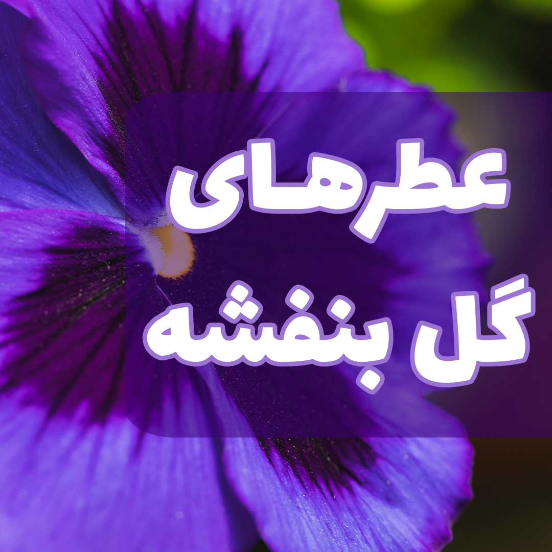 عطر با بوی گل بنفشه