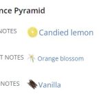 224822_img-3405-dolce-gabbana-devotion_720