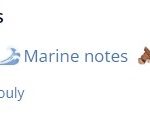 102151_img-2230-giorgio_armani-acqua_di_gio_absolu_720