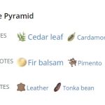 82402_hbp3wx_bottega_veneta_pour_homme_parfum_720