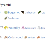 42522_cwpitp_acqua_originale_cedre_blanc_720