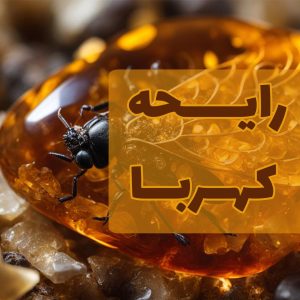 رایحه کهربا در عطر سازی